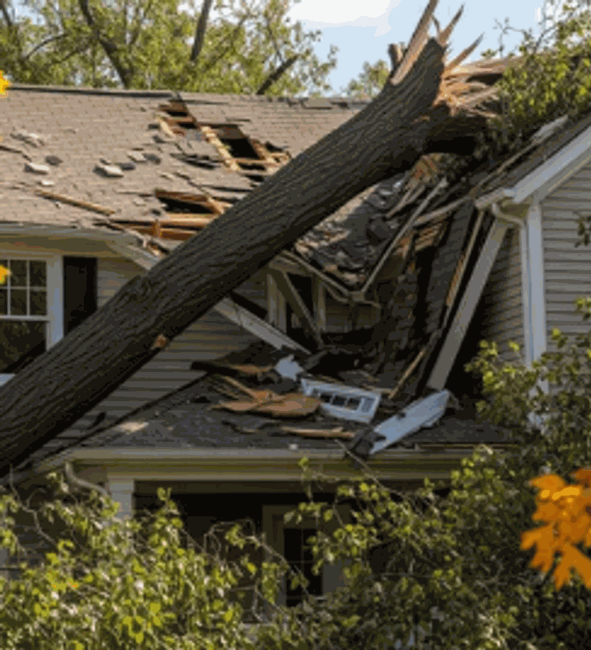 A tree limb down across a damaged roof
